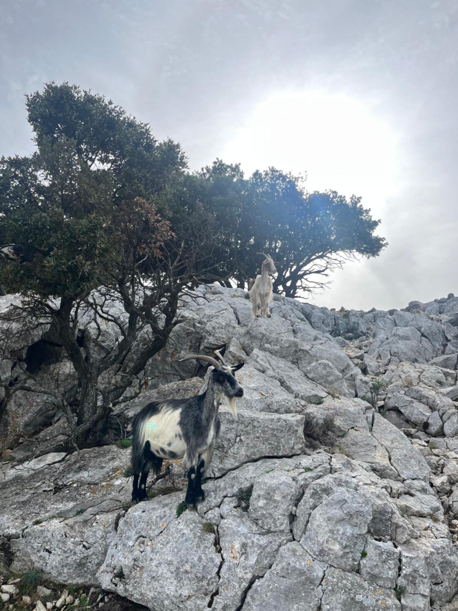 Petit Paradis A Sanary Avec Vue Mer Wifi Et Clim Buitenkant foto